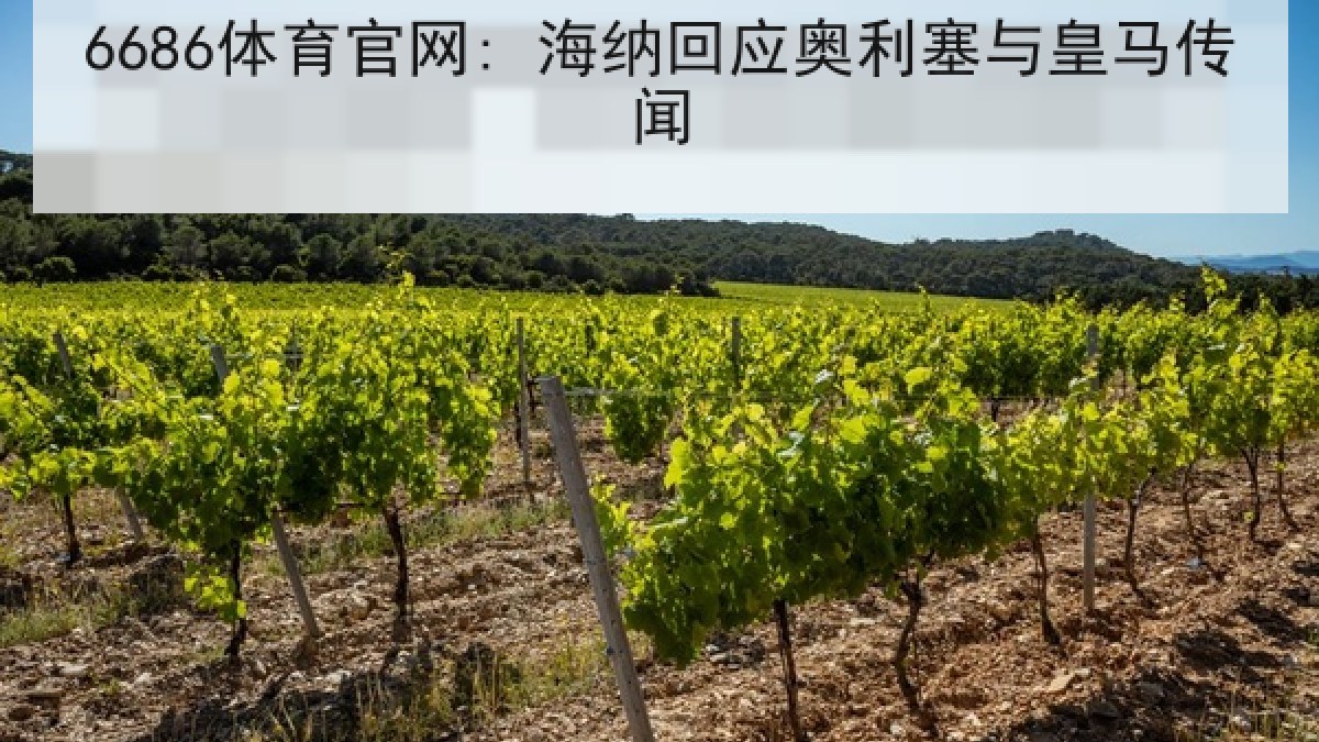 6686体育官网: 海纳回应奥利塞与皇马传闻 6686体育官网: 海纳回应奥利塞与皇马传闻